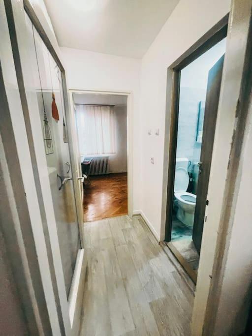 تيميشورا Ultracentral Big Flat Near The Opera Square P17 المظهر الخارجي الصورة