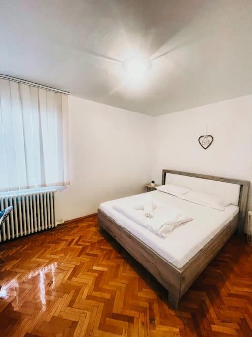 تيميشورا Ultracentral Big Flat Near The Opera Square P17 المظهر الخارجي الصورة