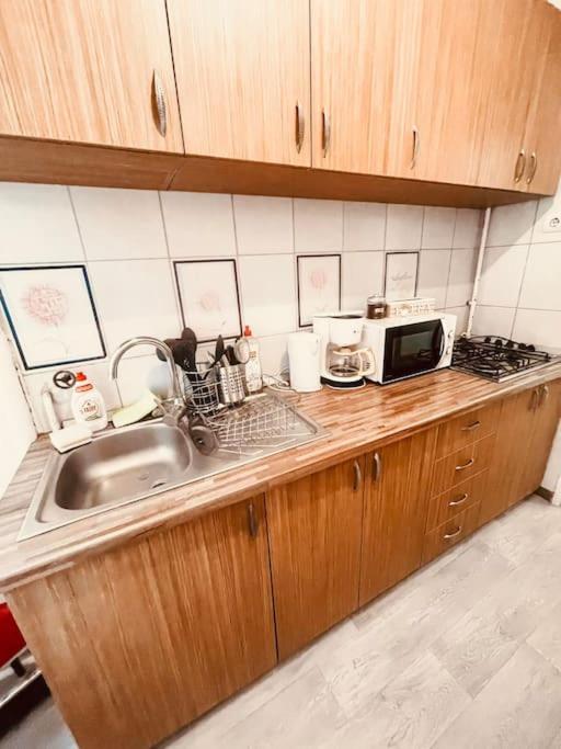 تيميشورا Ultracentral Big Flat Near The Opera Square P17 المظهر الخارجي الصورة