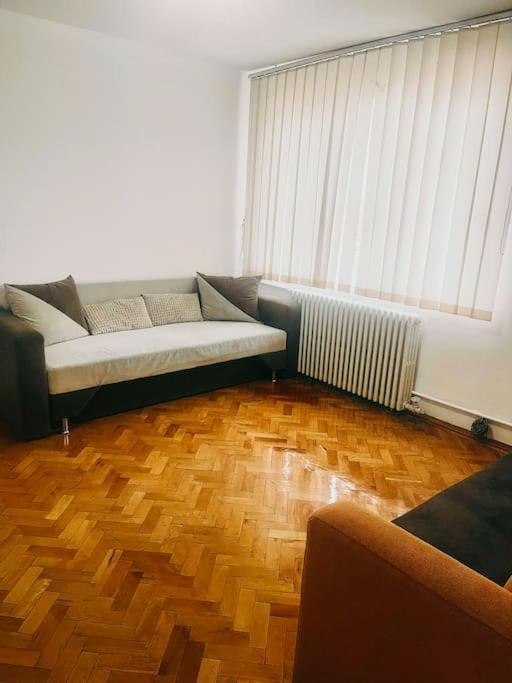 تيميشورا Ultracentral Big Flat Near The Opera Square P17 المظهر الخارجي الصورة