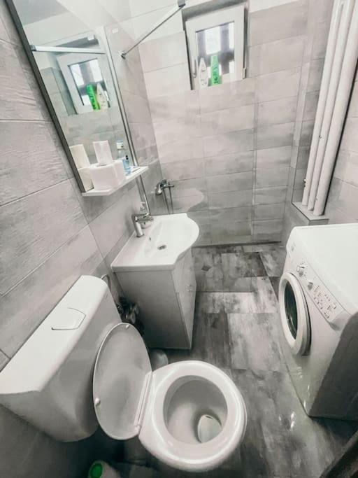 تيميشورا Ultracentral Big Flat Near The Opera Square P17 المظهر الخارجي الصورة