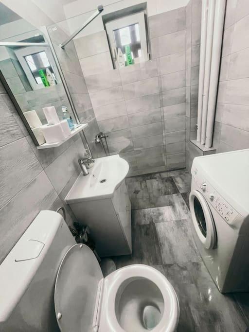 تيميشورا Ultracentral Big Flat Near The Opera Square P17 المظهر الخارجي الصورة
