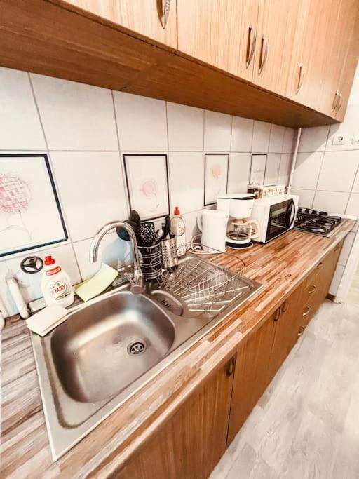 تيميشورا Ultracentral Big Flat Near The Opera Square P17 المظهر الخارجي الصورة