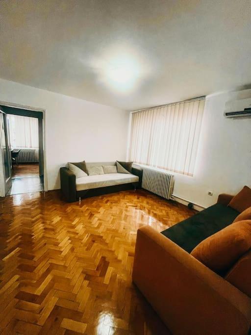 تيميشورا Ultracentral Big Flat Near The Opera Square P17 المظهر الخارجي الصورة