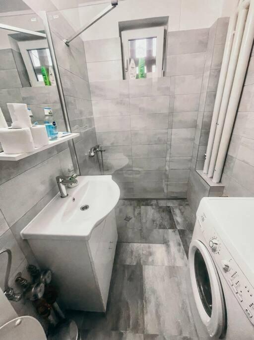 تيميشورا Ultracentral Big Flat Near The Opera Square P17 المظهر الخارجي الصورة