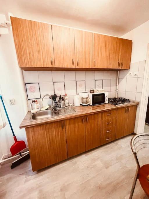تيميشورا Ultracentral Big Flat Near The Opera Square P17 المظهر الخارجي الصورة